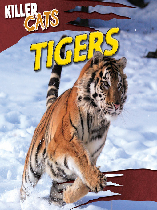 Title details for Tigers by Elizabeth Whyte - Available